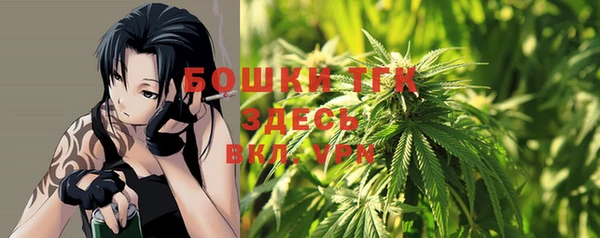 apvp Новозыбков
