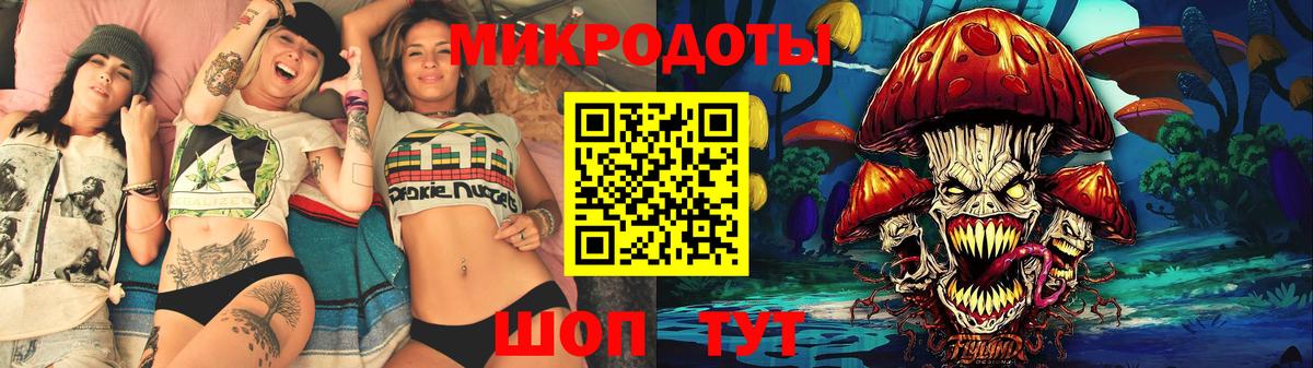 Галлюциногенные грибы Psilocybine cubensis Касимов
