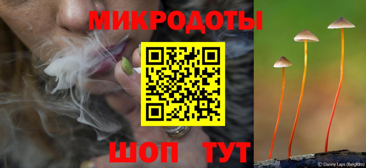 Галлюциногенные грибы прущие грибы Касимов